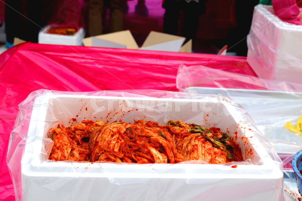 김치,김장,김장김치,배추,절임배추,배추김치,김장철,겨울,음식,식재료,요리,food,cook,meal,dishes,food reserves,채소,야채,vegetables,한식,한국음식,한국요리,korean food,korean dishes,korean meal,korean cook