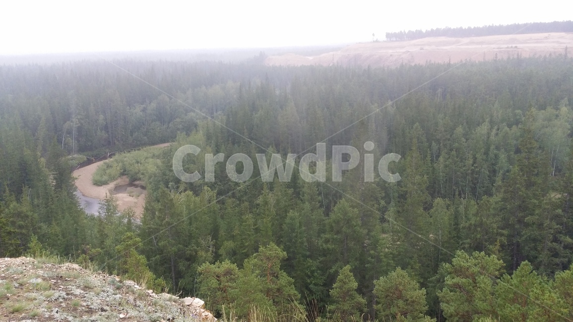 러시아,야쿠츠크,사하공화국,침엽수림,숲,russia,yakutsk,배경,자연,풍경,nature,landscape,해외,외국,세계,foreign,oversea,world,세계자연풍경,해외자연풍경,외국자연풍경,world nature landscape,tree,나무,plant,식물,fir,전나무,abies,아비
