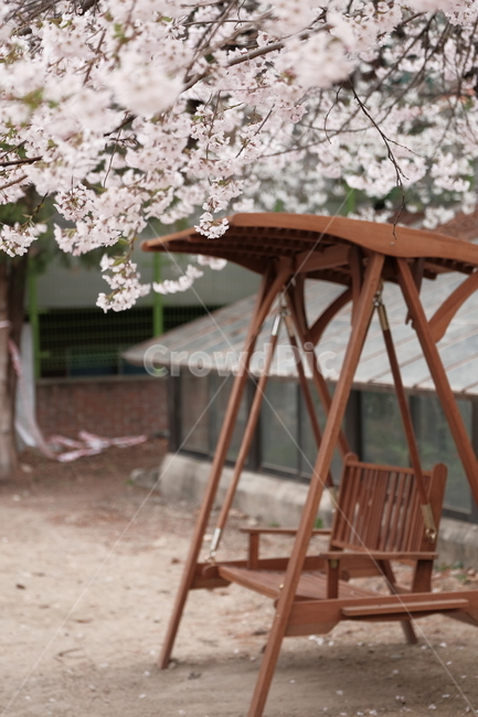 의자,벤치,bench,꽃,나무,tree,봄,계절,spring,season