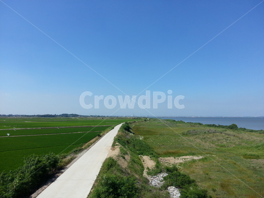 삽교천,자연,풍경,하늘,하천,풀,초록색,길,green,blue,sky,nature,한가로움,한적함,자연,풍경,nature,landscape,outdoors,옥외,grassland,목초지,field,들