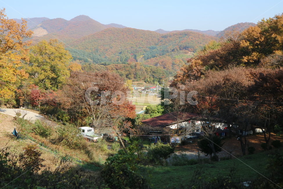 가을,단풍,전원마을,가을단풍,산,가을산,자연,nature,시골,마을,풍경,landscape,country,rural,town