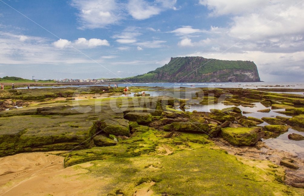 성산일출봉,제주도,제주바다,광치기해변,가을,가을바다,풍경,제주하늘,제주43사건,성산,제주풍경,추억,자연,풍경,nature,landscape,한국자연풍경,한국자연경관,korea nature landscape,제주도,jeju,jeju island,plant,식물