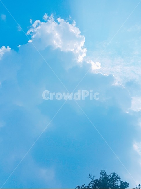 풍경,하늘,구름,배경,나무,cloud,sky,tree