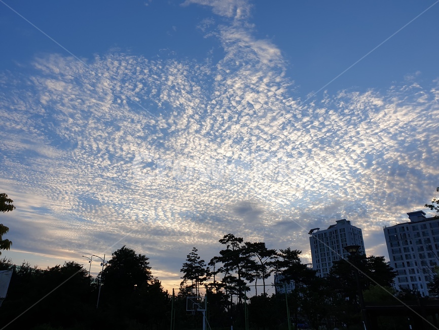 풍경,하늘,구름,자연,야외,nature,outdoors,sky,clouds
