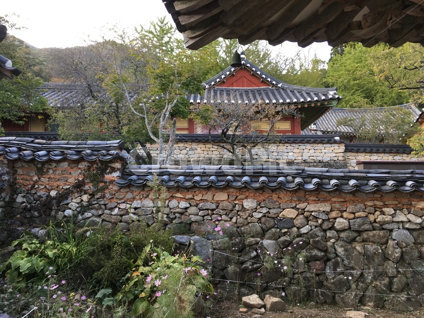 선암사,풍경,가을,낙엽,돌담장,담장,기와,산사,산지승원,절,사찰,불교,템플스테이,기도,유네스코,세계문화유산,돌담,팔작지붕,지붕,처마,한국전통,한국문화,korean traditional,korean culture,종교,신앙,religion,belief,faith,건축물,건물외관,exterior,building,structure,architecture,construction