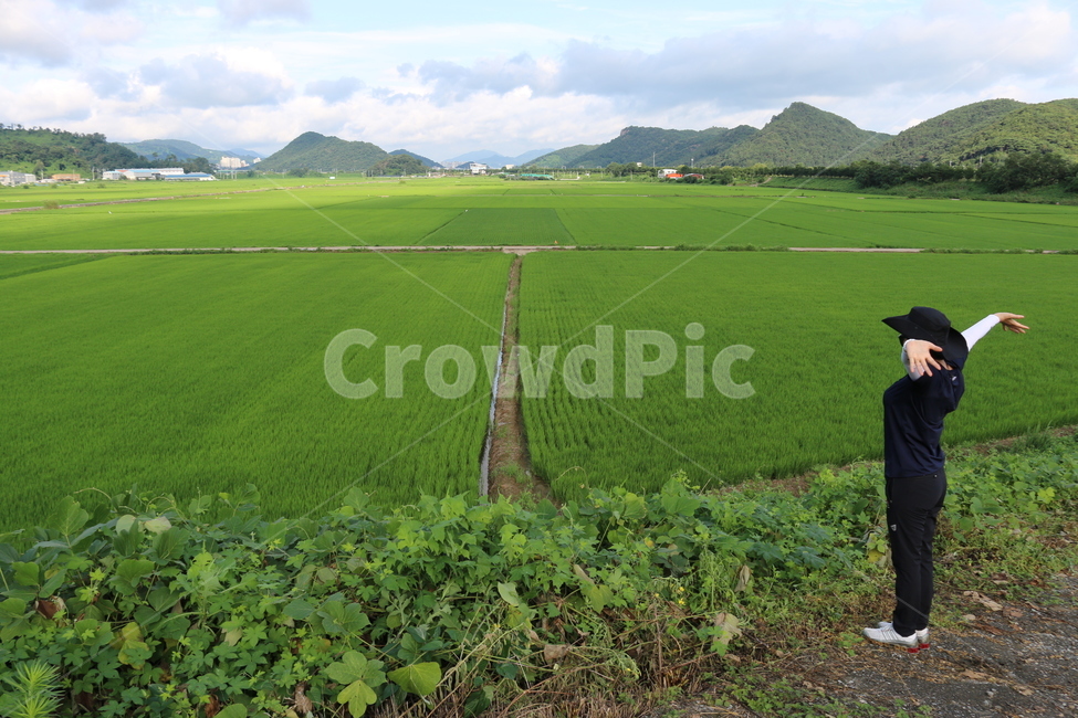 김해화포천,자연보호,생택계보고,들판,키큰나무,트레킹,둘레길,tree,인간,자연,풍경,nature,landscape,여행,휴가,traveling,vacation,trip,outdoors,옥외,grassland,목초지,field,들
