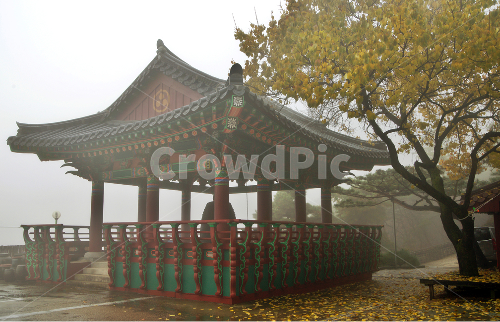 사찰,운무,안개,범종각,범종루,가을,범종,산사,낙엽