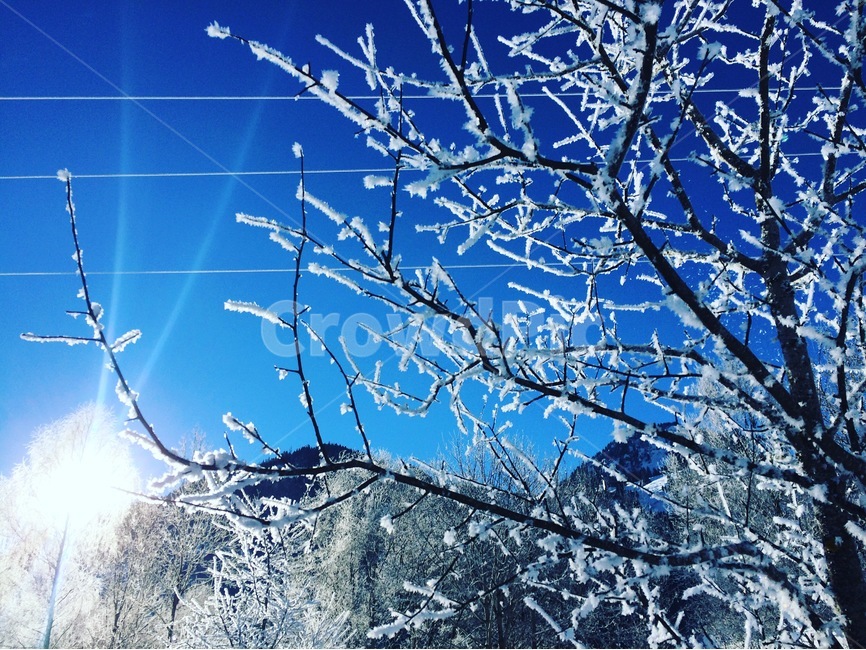 눈꽃,눈,겨울,겨울나무,겨울하늘,겨울,계절,winter,season,자연,풍경,nature,landscape,outdoors,옥외