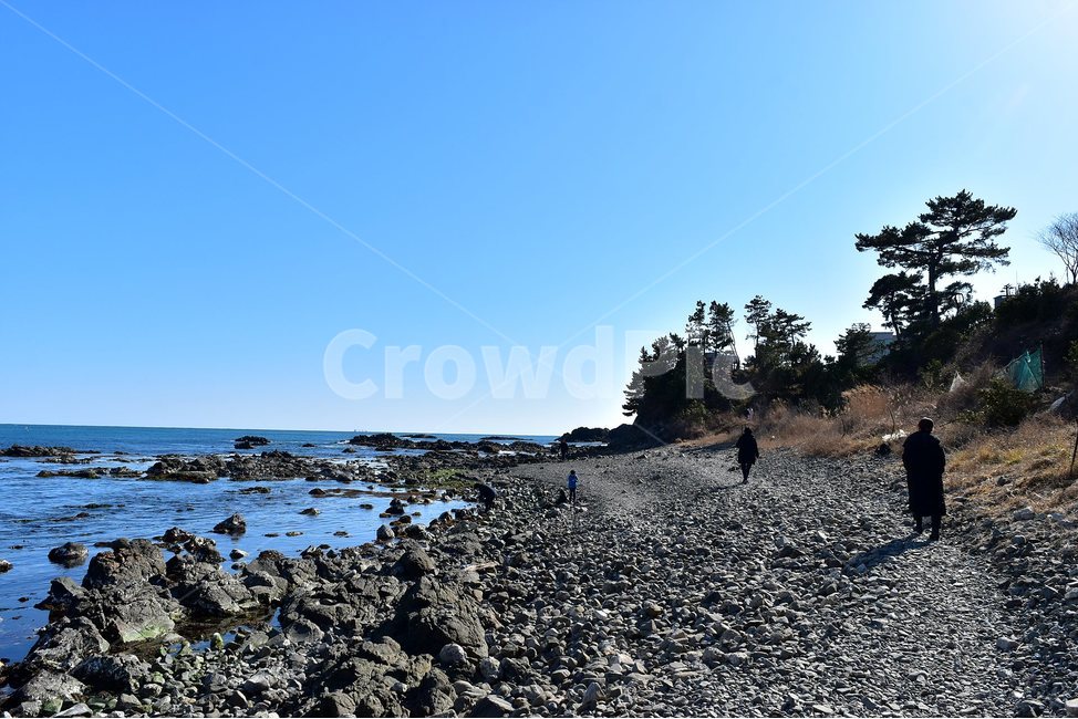 주상절리,경주,양남,풍경,바다,자연,국가지질공원,지질공원,비경,전망,조망,파란,하늘,해변,해안,korea,nature,landscape,힐링,장관,절경,여행,사진,겨울,자연풍경,2018년,2월,설연휴,가볼만한곳,traveling,crowd,한국,자연경관,감성,해파랑길,동해,아름다운,명소,읍천항,자연,풍경,nature,landscape,한국자연풍경,한국자연경관,korea nature landscape,dirt road,흙길,gravel,자갈,road,도로,ground,바닥,rubble,파편,person,사람,human,인간