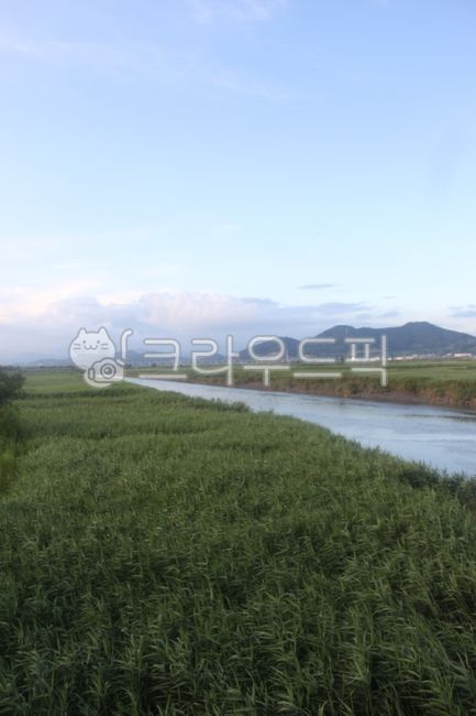 들,자연,nature,field,grassland