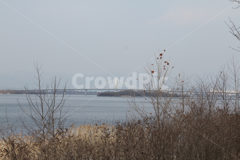 호수,물가,경치,풍경,자연,겨울,겨울호수,물,겨울,계절,winter,season,자연,풍경,nature,landscape