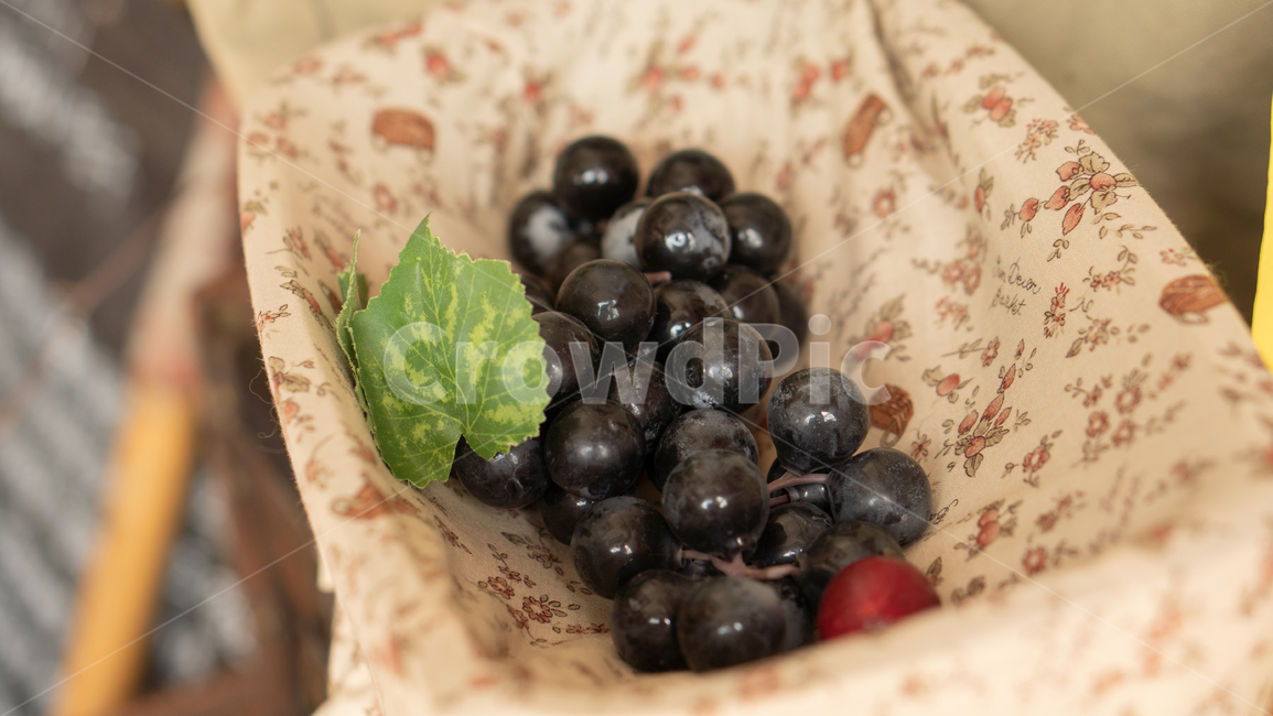 plant,식물,food,음식,fruit,과일,포도,장식,음식,식재료,요리,food,cook,meal,dishes,food reserves