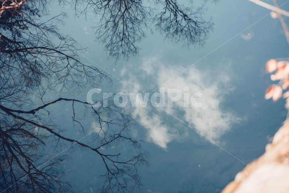 나무,구름,반영,감성,감성사진,가을,늦가을,내맘포토,D750,자연,풍경,nature,landscape,감성,sensible,feeling