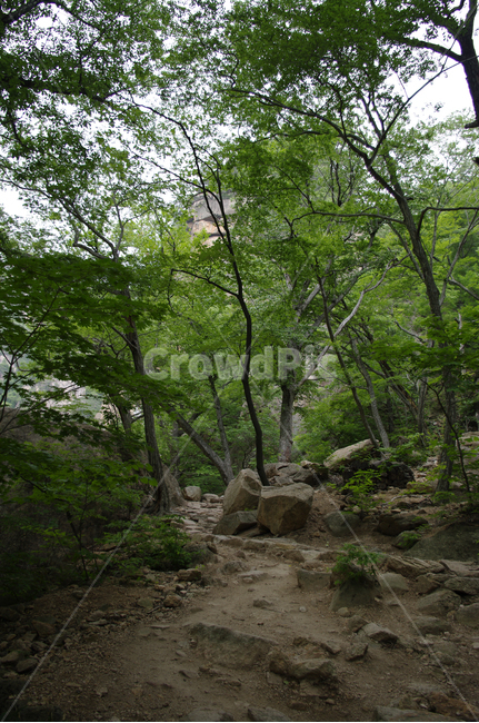 산,바위,풍경,나무,길,자연,풍경,nature,landscape,ground,바닥