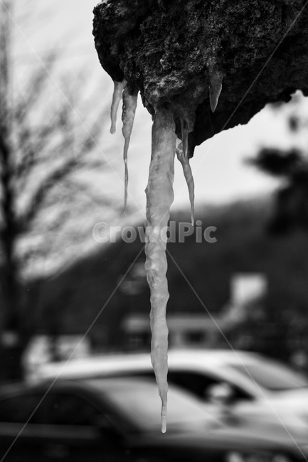 자연,ice,빙,고드름,얼음,겨울,겨울,계절,winter,season,흑백,모노톤,monochrome,black and white
