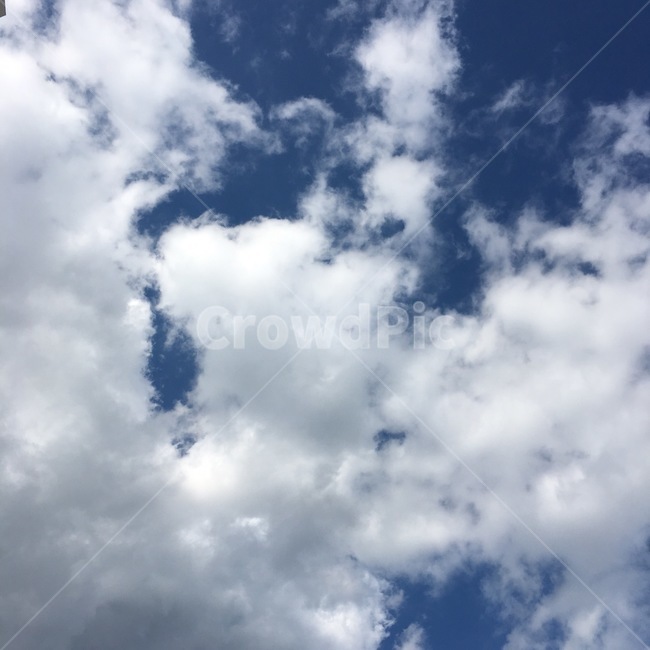 자연,nature,sky,하늘,구름,cloud,옥외,outdoors