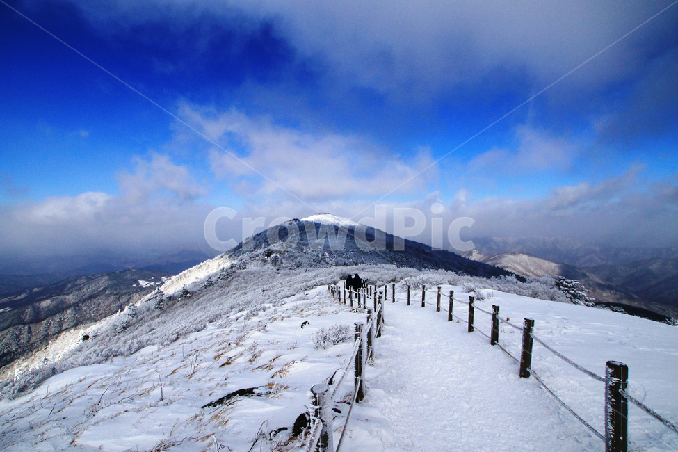덕유산,설경,푸른하늘,눈,상고대,무주,주목,겨울,계절,winter,season,자연,풍경,nature,landscape,mountain,산,outdoors,옥외,mountain range,산맥