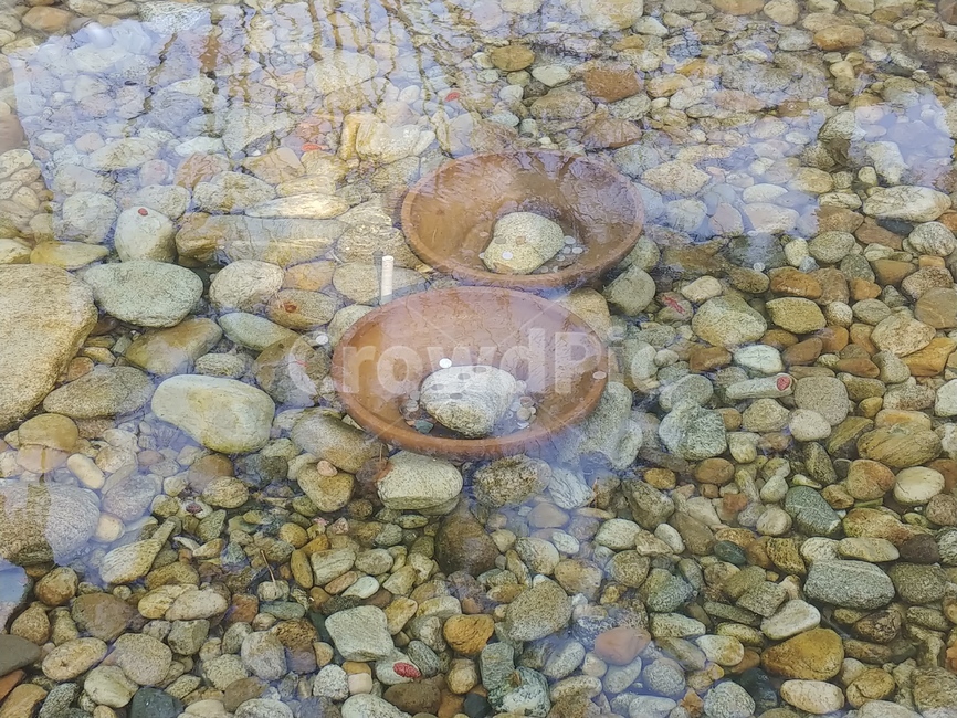 연못,돌멩이,pebble,동전던지기,pond