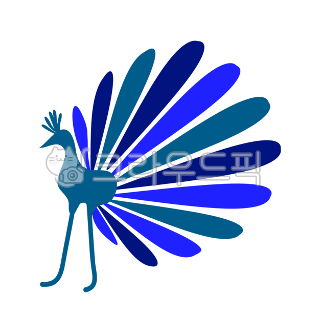 공작새,peacock,새,조류,새일러스트,공작새그림,공작새일러스트,깃털,컬러풀,손그림,다꾸,bird,야생,wild