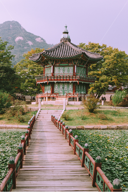 경복궁,향원정,서울,연못,나무다리,전통,기와,산,나무,문화재,조선,한국전통,한국문화,korean traditional,korean culture,랜드마크,landmark,tourist attraction,한국랜드마크,한국관광지,한국명소,korea landmark,korea tourist attraction,감성,sensible,feeling