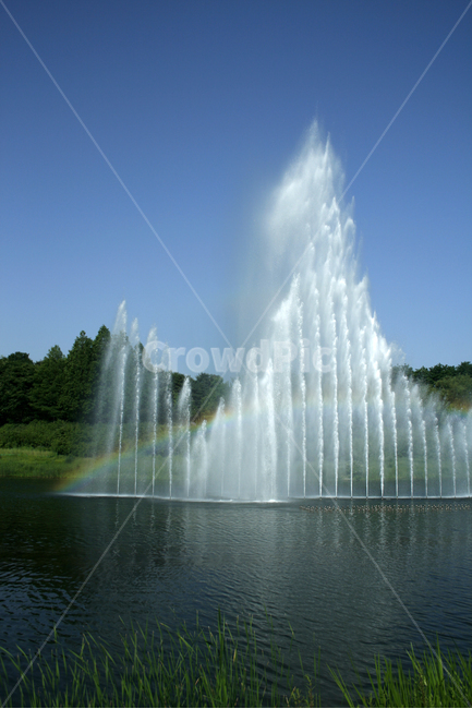 호수,여름,식물,물결,공원,분수,무지개,하늘,자연,풍경,nature,landscape,water,물,fountain