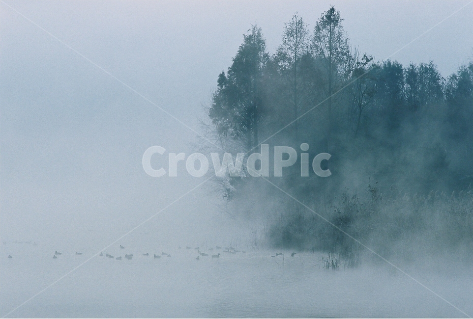 강,풍경,가을,물안개,아침,river,landscape,자연,풍경,nature,landscape,weather,날씨,outdoors,옥외