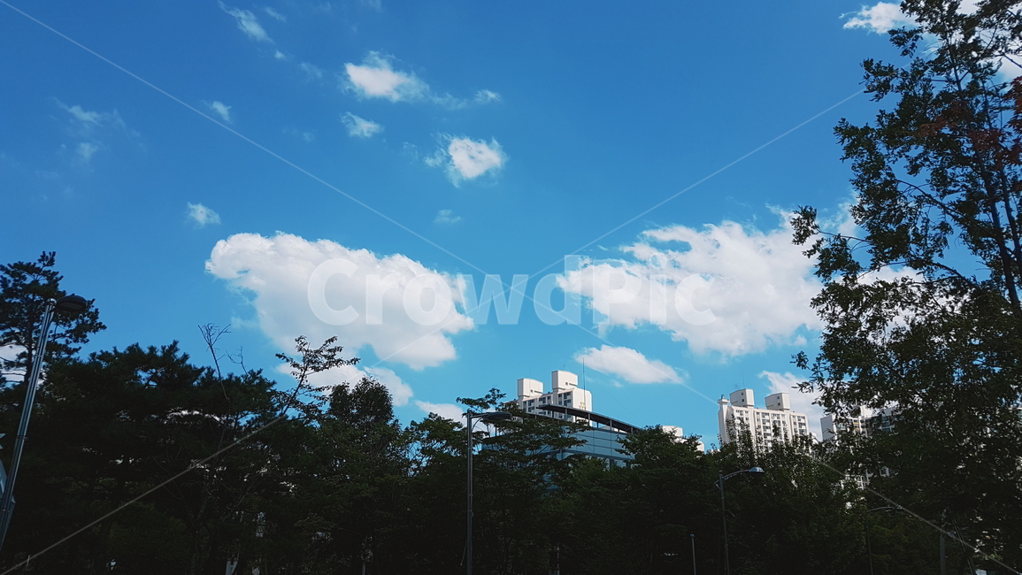 신도림,sindorim,weather,날씨,nature,자연,하늘,구름,기차역,sky,cloud,station,cumulus,적운