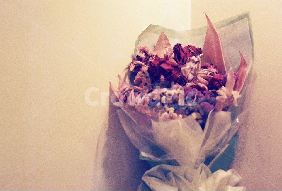 장미,말린꽃,드라이플라워,꽃다발,감성사진,식물,자연,plants,nature,꽃,flower,기념일,축하,anniversary,congratulation,celebrate,celebration,감성,sensible,feeling