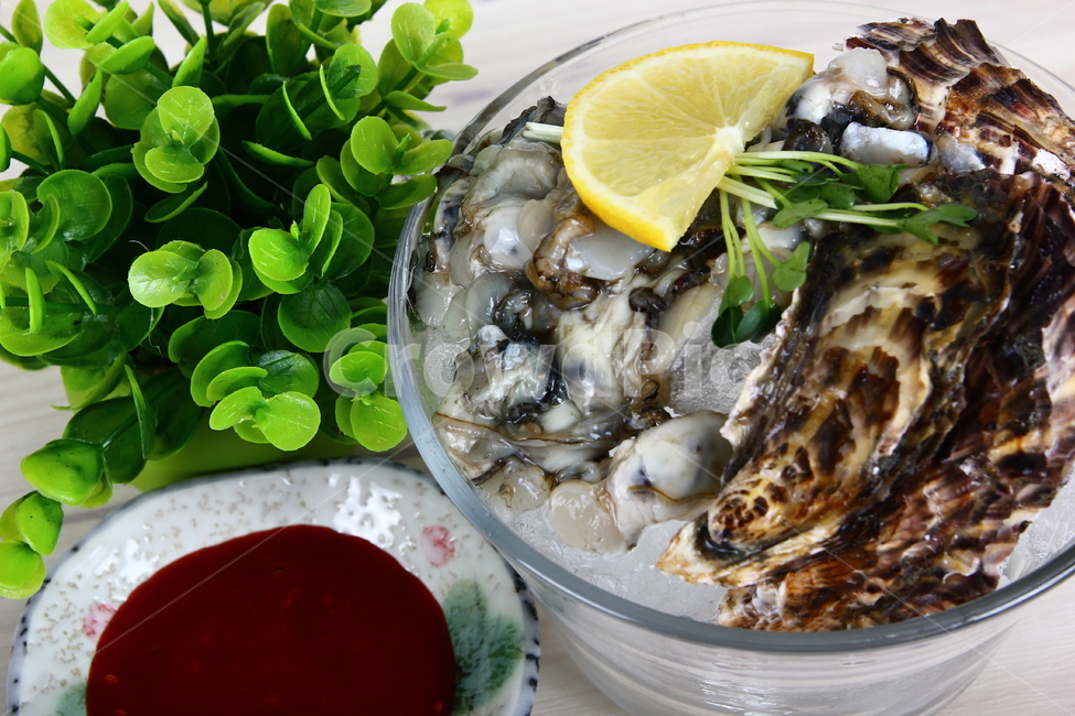 석화,굴,생굴,해산물,조개,신선,싱싱,음식,식품,dish,oysters,seafood,shellfish,fresh,crispy,food,음식,식재료,요리,food,cook,meal,dishes,food reserves,수산물,해산물,fishery products,seafood
