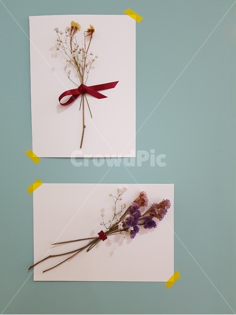 꽃다발,감성,액자,인테리어,선물,리본,드라이플라워,안개꽃,전시,도화지,꽃,마른꽃,여백,축하,한송이,꽃장식,실내,창문,조명,카드