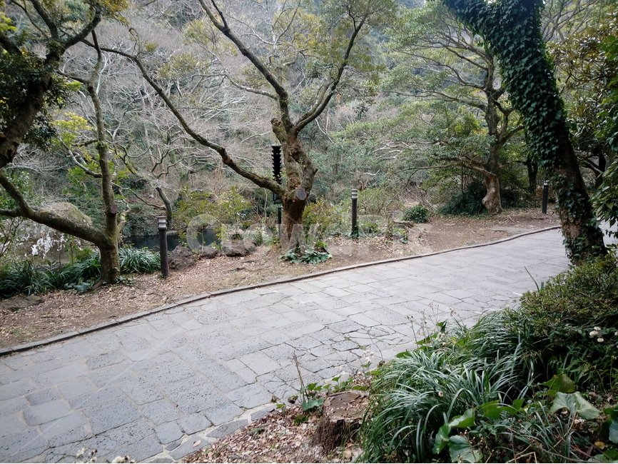 보도,나무,산,초봄,길,자연,풍경,nature,landscape,한국자연풍경,한국자연경관,korea nature landscape,plant,식물,flagstone,판석,tree