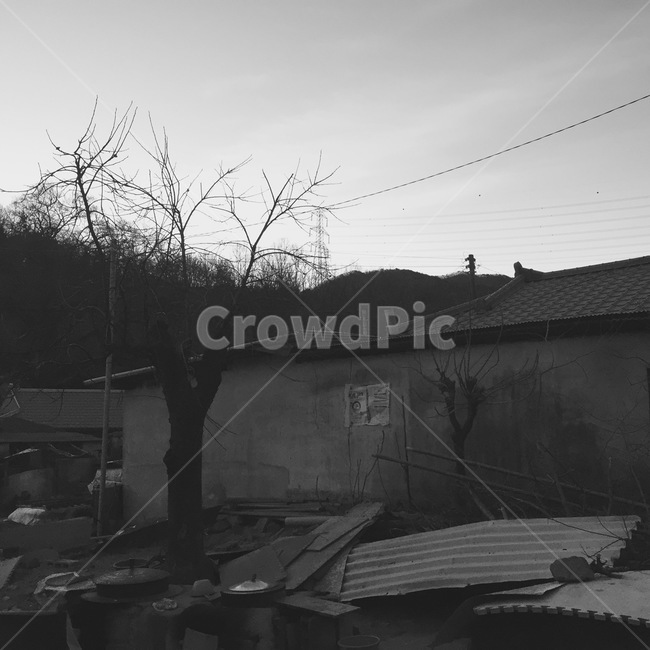 할머니집,흑백사진,나무,풍경,적막함,벽,흑백,모노톤,monochrome,black and white,건축물,건물외관,exterior,building,structure,architecture,construction
