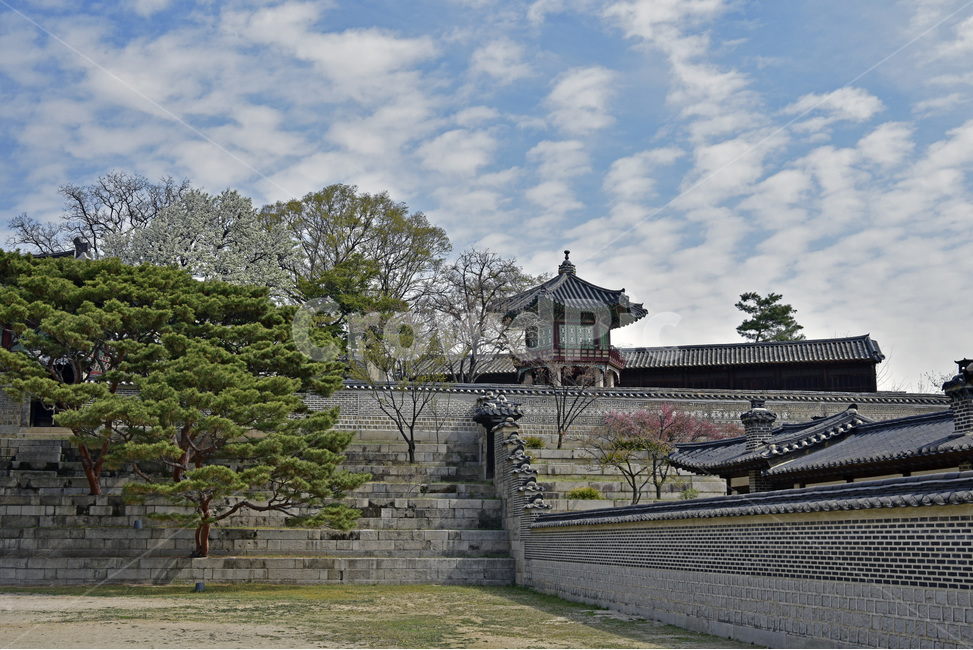 창덕궁,changdeokgungpalacecomplex,궁궐,문화유산,세계유산,한옥,이궁,동궐,단청,한국전통,한국문화,korean traditional,korean culture,랜드마크,landmark,tourist attraction,한국랜드마크,한국관광지,한국명소,korea landmark,korea tourist attraction,건축물,건물외관,exterior,building,structure,architecture,construction