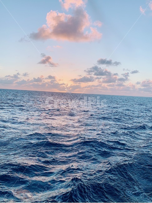 석양,저녁노을,sunset,자연,휴양,노을,게절,여름,바다,배위,배,nature,season