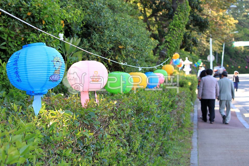 sidewalk,nature,tree,Sakyamuni,people,holiday,outdoor,Buddhism,Buddha,outdoors,road,public holiday,temple,walking path,garden,lotus lantern,Buddhas Birthday