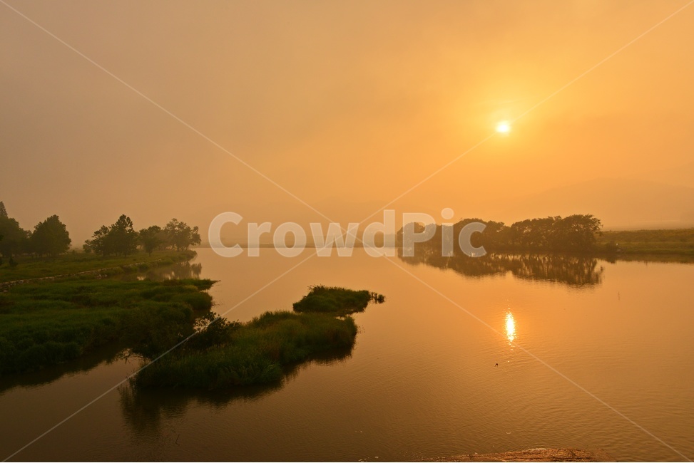 나주,남평,드들강,sunlight,햇빛,weather,날씨,tree,나무,plant,식물,nature,자연,outdoors,옥외,water,물,금계국,반영,드들강일출,일출,여명,해돋이