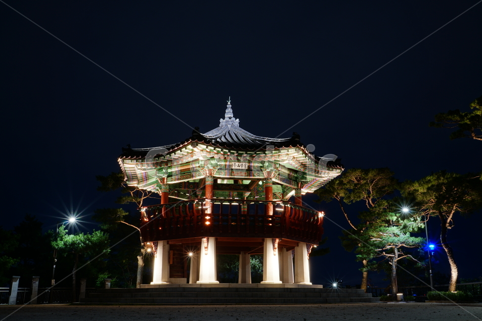 팔각정,정자,쉼터,야경,한국,서울,한국적인,korea,seoul,문화,전통,한국문화,한국전통,한옥,건축,건물,전통건축,전통건물,나무,식물,조명,밤하늘,풍경,landscape,nightview,nightscene,nightscape,한국전통,한국문화,korean traditional,korean culture