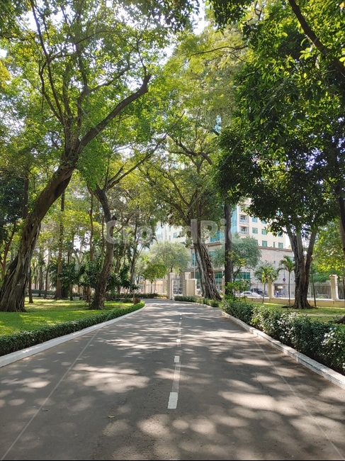 grass,treetrunk,나무줄기,lawn,잔디,park,공원,plant,식물,tree,나무,길,road,숲길,숲,forest,garden,정원,nature,자연