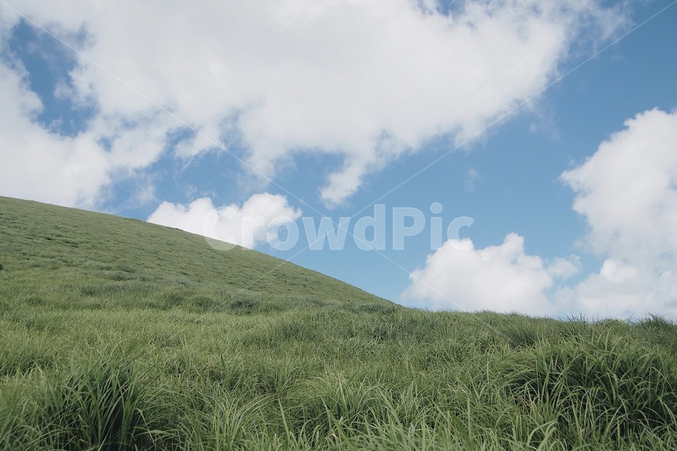 자연,하늘,풀,오름,구름,맑음,고요,감성,자연,풍경,nature,landscape,outdoors,옥외,grassland,목초지,field,들,slope,경사