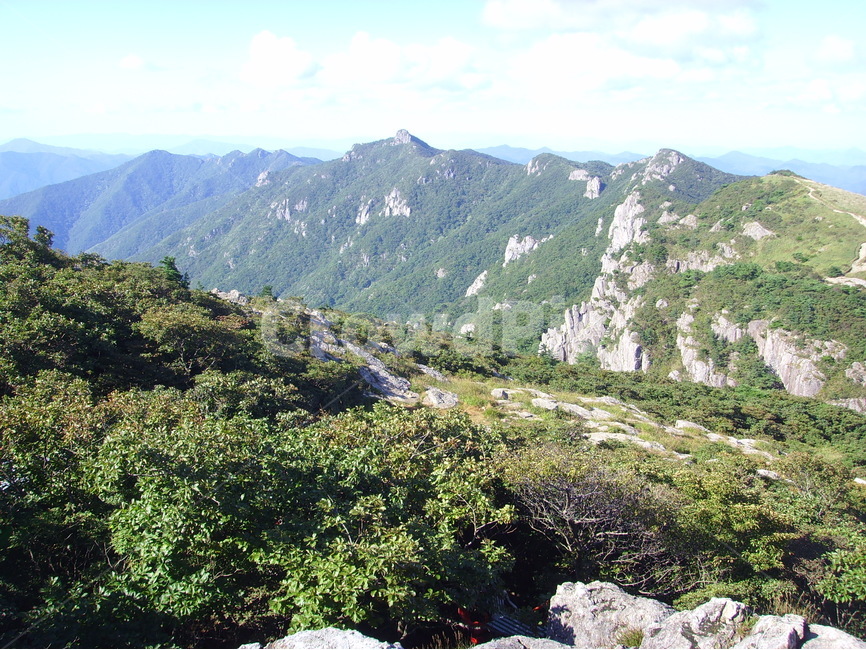산,가을,가을산,영남알프스,갈대,신불산,영축산,가지산,구름,파란하늘,청명한하늘,자연,풍경,nature,landscape,한국자연풍경,한국자연경관,korea nature landscape,outdoors,옥외,slope,경사,wilderness,황야,mountain