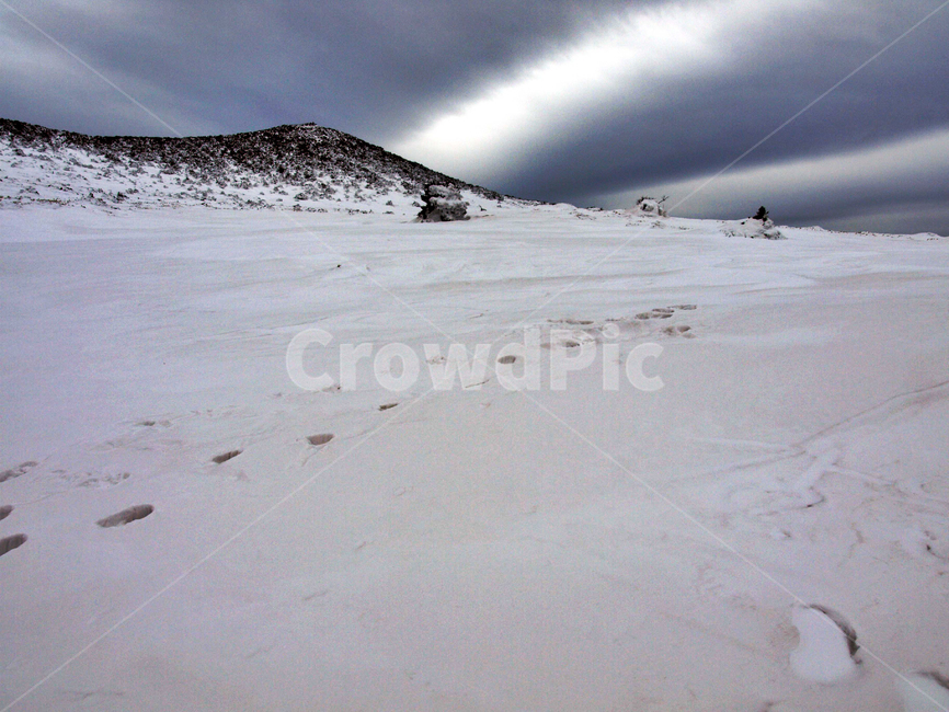 어리목,제주도,한라산,설경,겨울,설화,겨울산,눈,발자국,겨울,계절,winter,season,자연,풍경,nature,landscape,outdoors,옥외,mountain,산