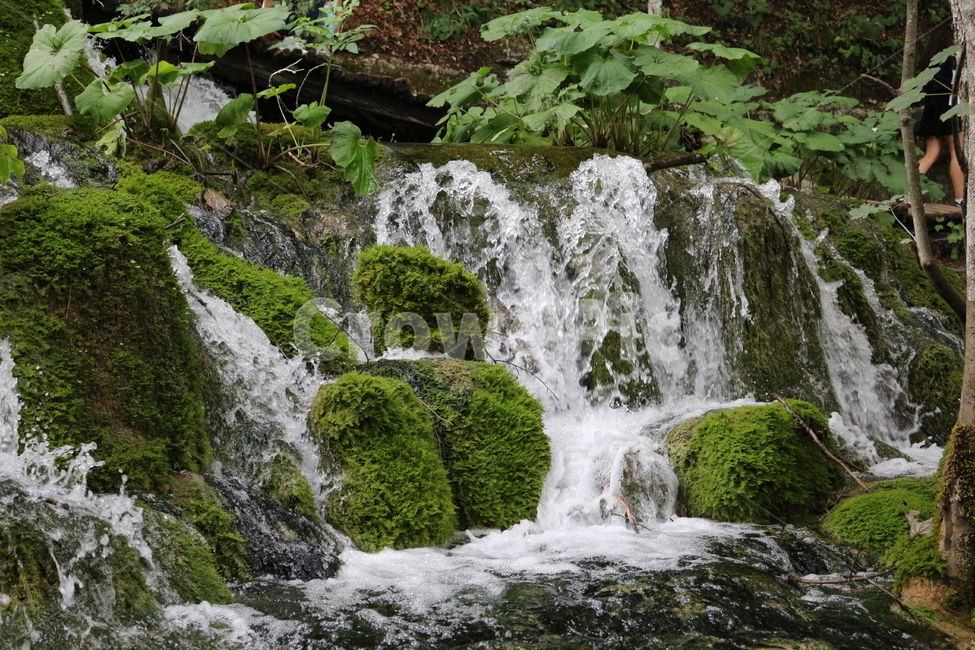 크로아티아,크로아시아,croatia,플리트비체,plitvice,plitvica,국립공원,물,폭포,연못,강,숲,나무,초록,여름,park,nature,waterfall,water,river,pond,green,tree,forest,자연,풍경,nature,landscape