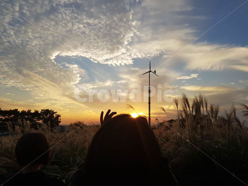 노을,하늘공원,갈대,갈대밭,하늘,노을지는하늘,뒷모습,구름,자연,풍경,nature,landscape,flare,플레어,light,빛,sunlight,햇빛,outdoors,옥외