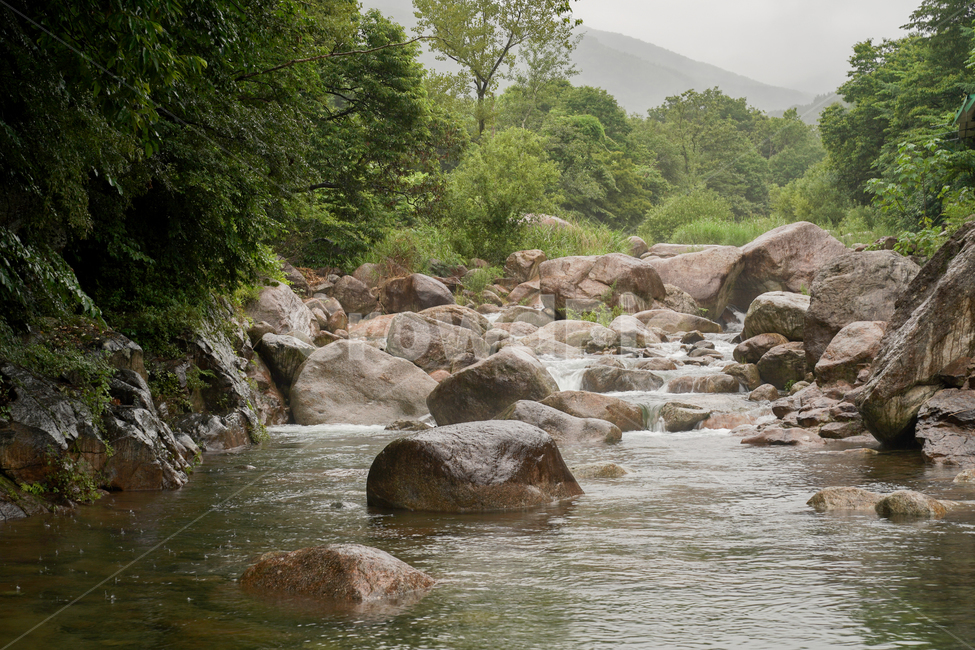 valley,계곡,맑은물,시원함,산속,여름,계절,summer,season,자연,풍경,nature,landscape,water,물,outdoors,옥외