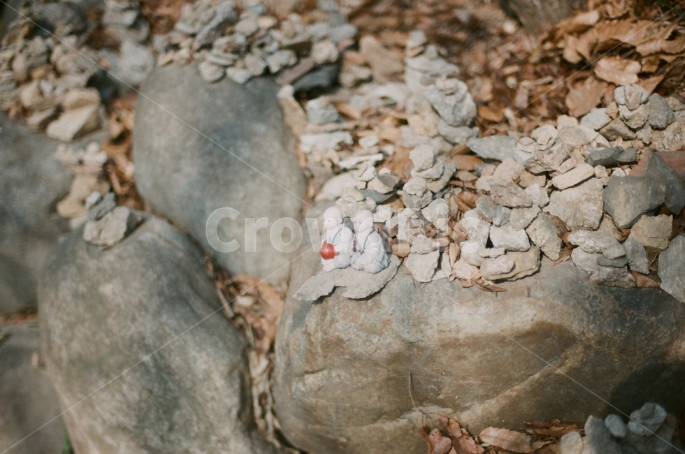 불교,사찰,temple,절,석상,조각,종교,신앙,religion,belief,faith