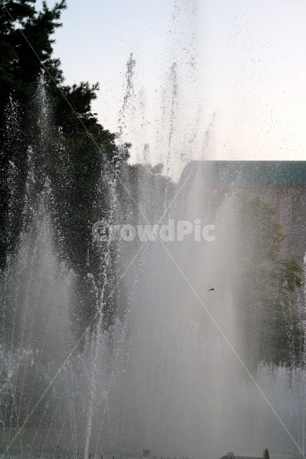 분수,분수대,물,공원,예술의전당,나무,소나무,자연,풍경,nature,landscape,water,fountain