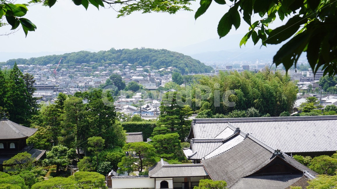 은각사,자연,경치,일본,silverpavilion,nature,kyoto,교토,landscape,traditional,전통적인,가옥,전통가옥,house,traditionalhouse,마을,village,town,traditionalvillage,전통마을,푸르름,녹색,이파리,green,랜드마크,landmark,tourist attraction,해외,외국,세계,foreign,oversea,world,세계랜드마크,해외랜드마크,외국랜드마크,world landmark,world tourist attraction,roof,지붕,outdoors,옥외,scenery,풍경