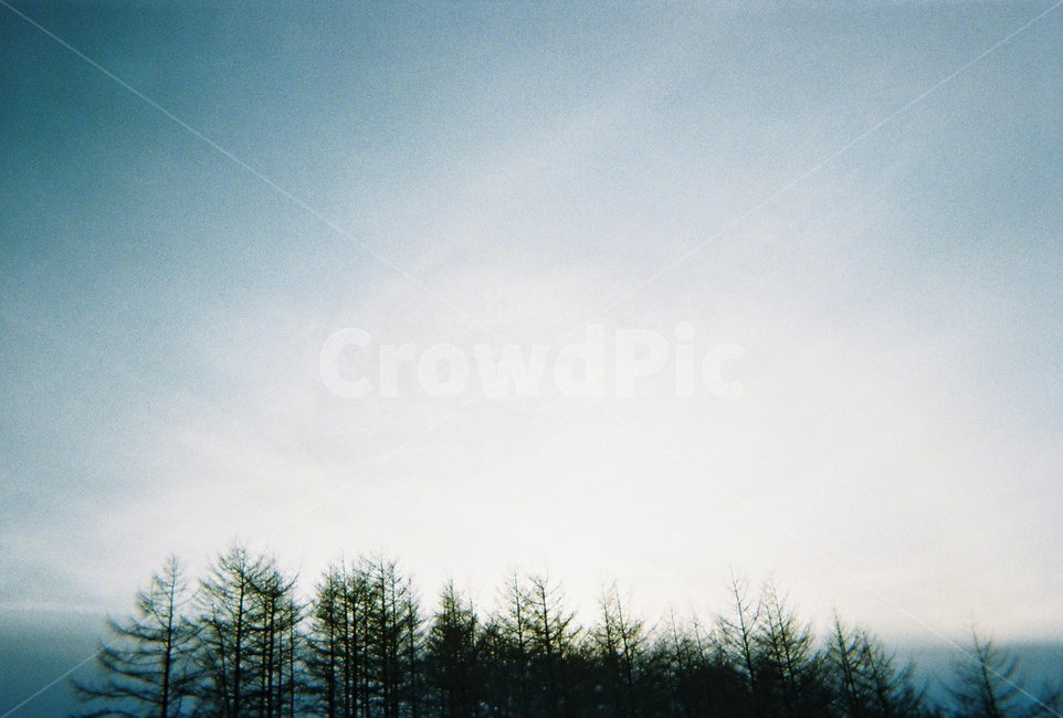 하늘,heaven,감성,필름,겨울,winter