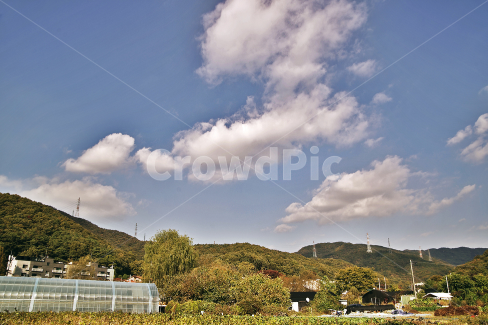 전원,가을,계절,자연,푸른하늘,흰구름,자연,풍경,nature,landscape