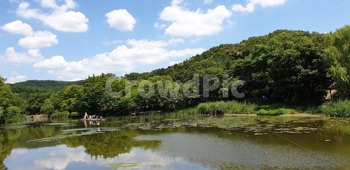 용인민속촌,풍경,구름,나무,자연,여름